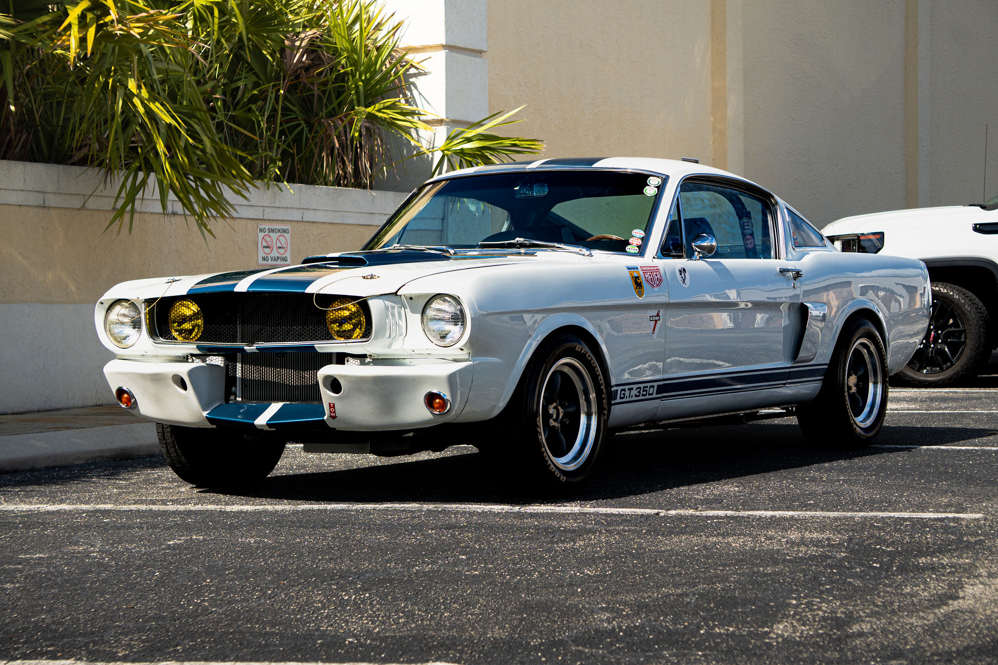 1965 Ford Mustang Fastback GT350 Tribute Exterior 1