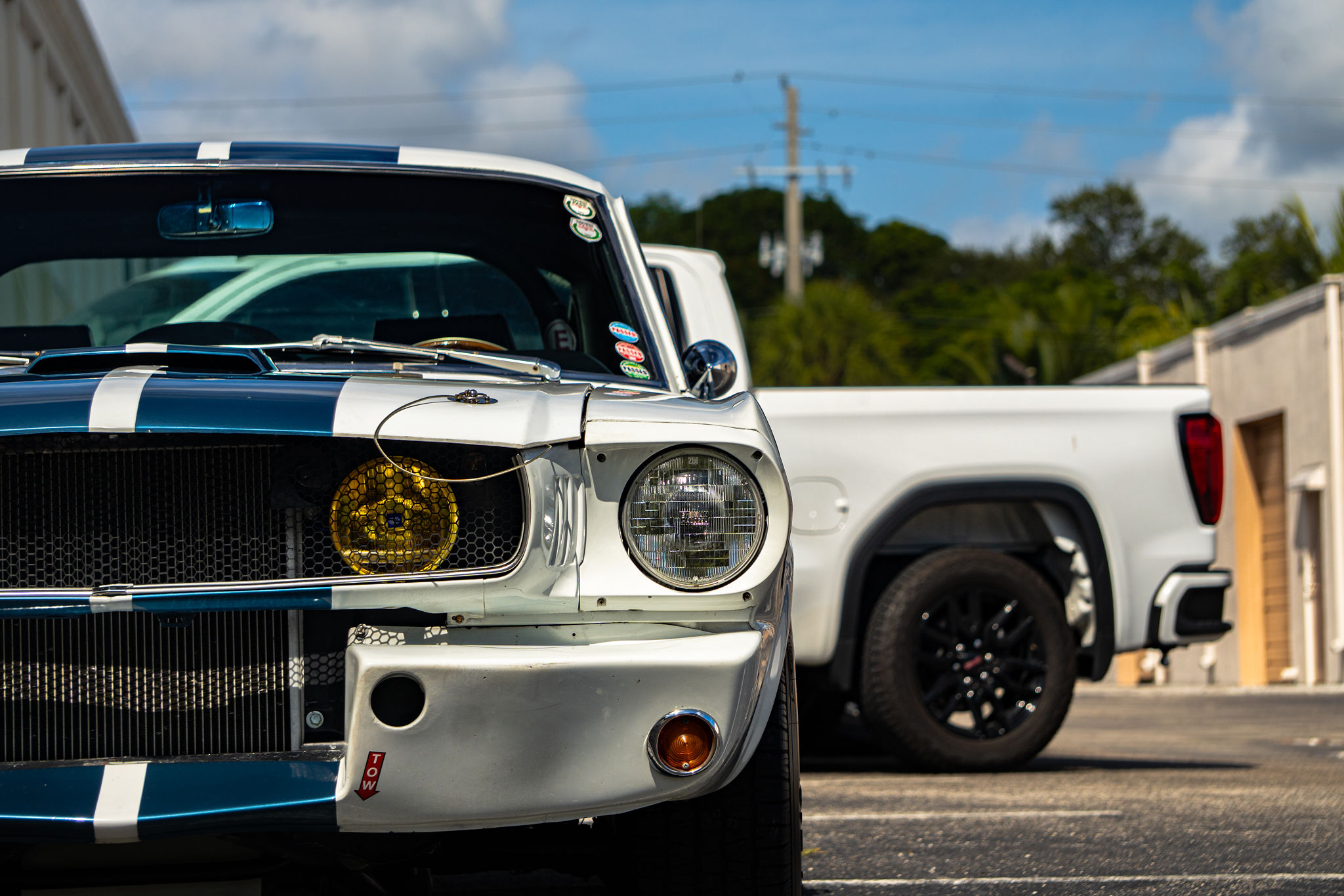 1965 Ford Mustang Fastback GT350 Tribute Exterior 2