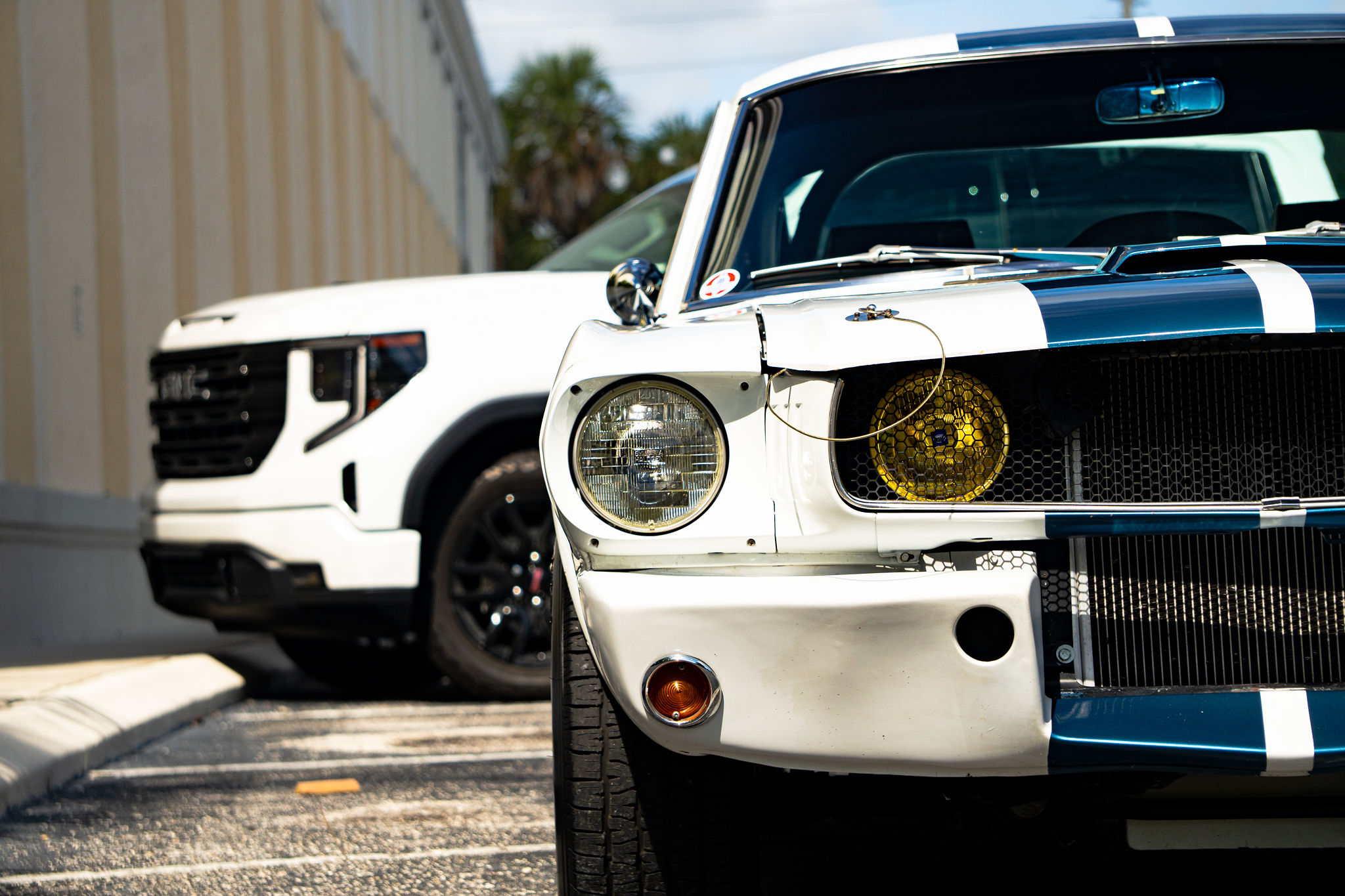 1965 Ford Mustang Fastback GT350 Tribute Exterior 3