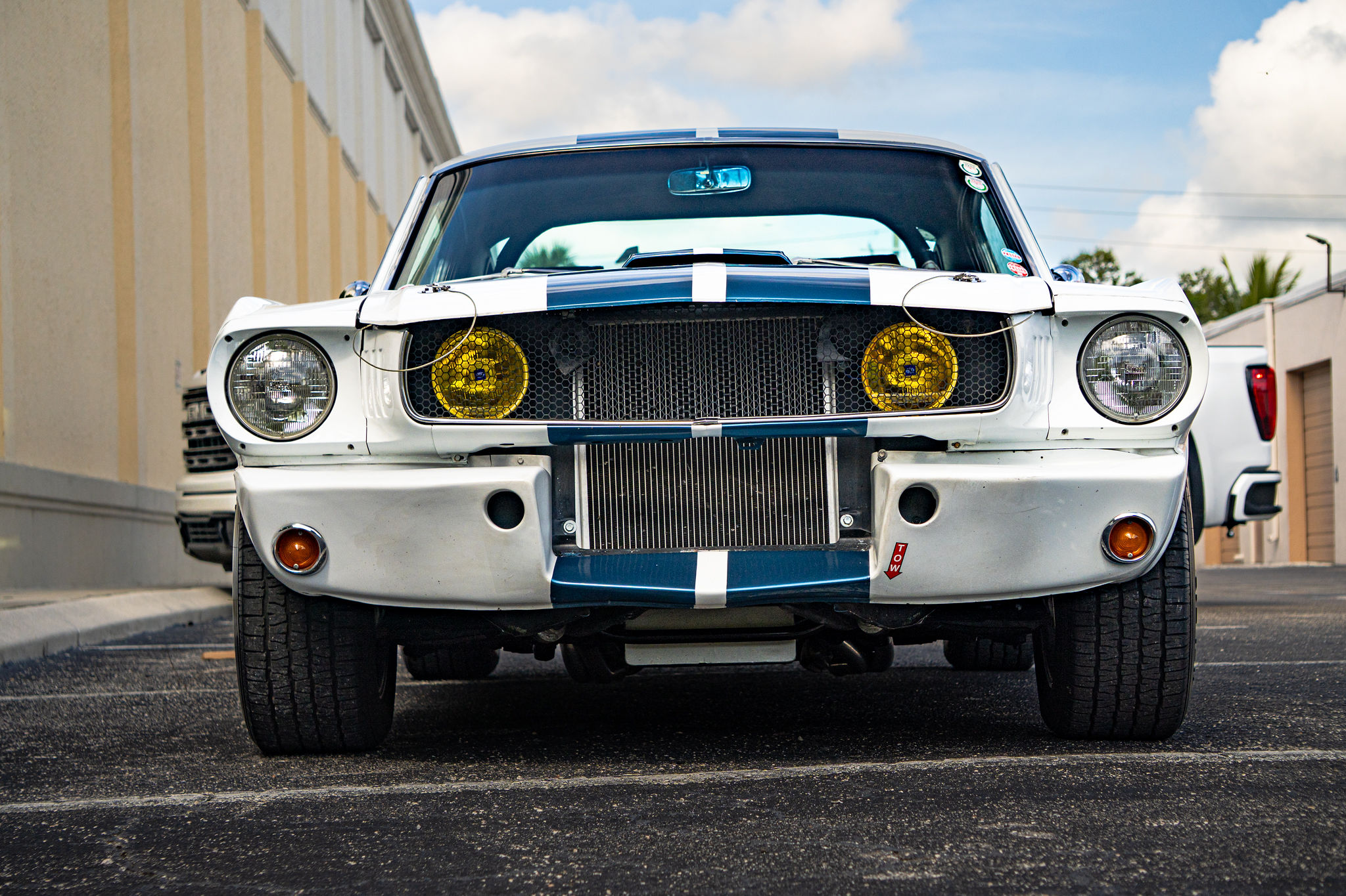 1965 Ford Mustang Fastback GT350 Tribute Exterior 4