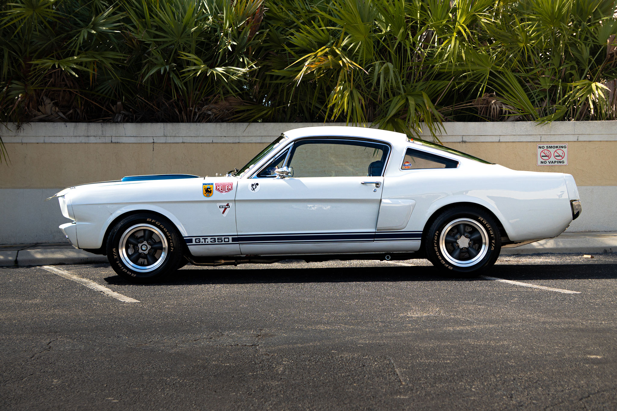 1965 Ford Mustang Fastback GT350 Tribute Exterior 5