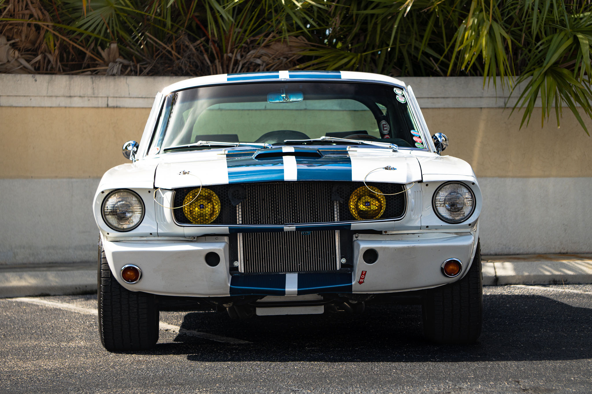 1965 Ford Mustang Fastback GT350 Tribute Exterior 15