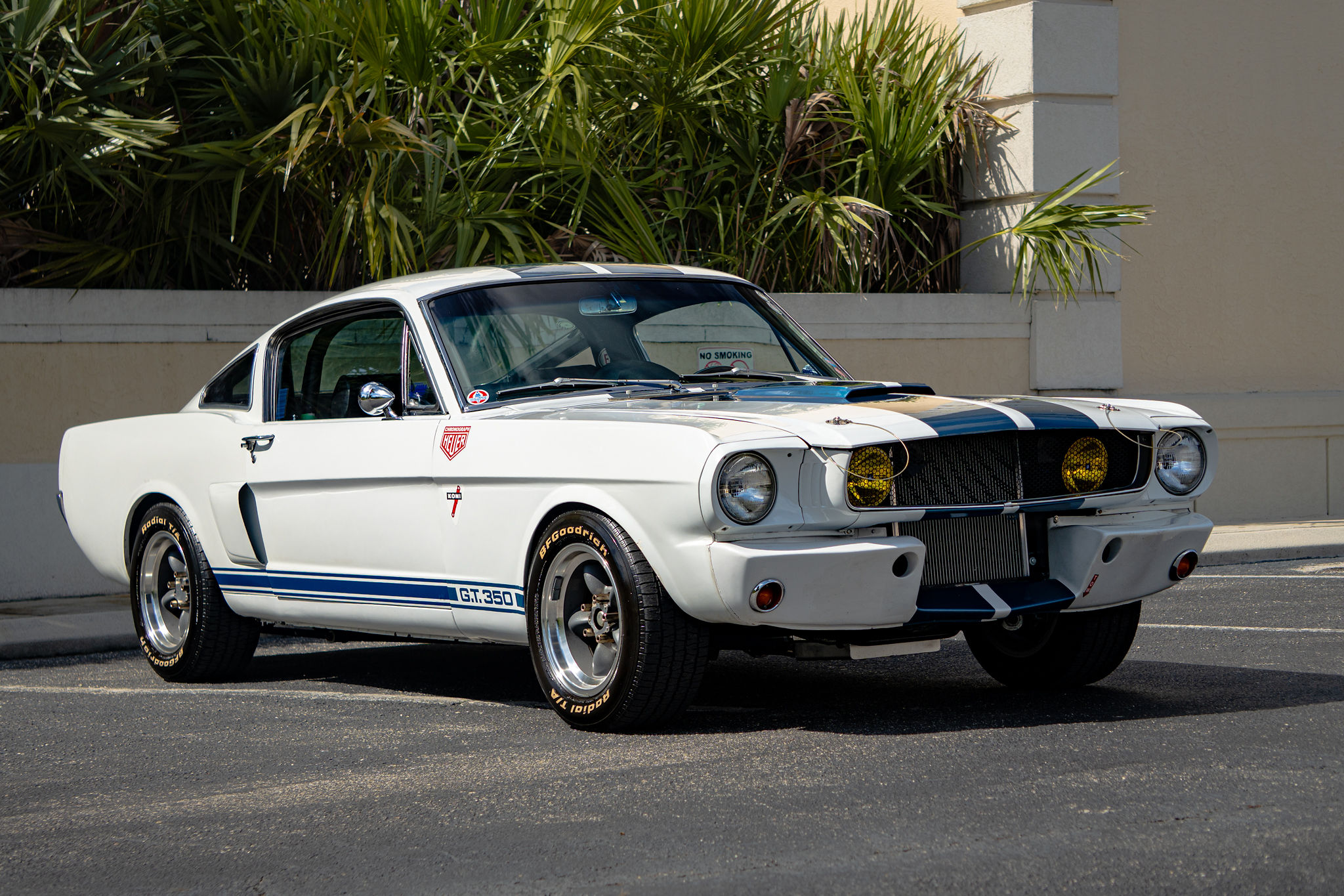 1965 Ford Mustang Fastback GT350 Tribute Exterior 16