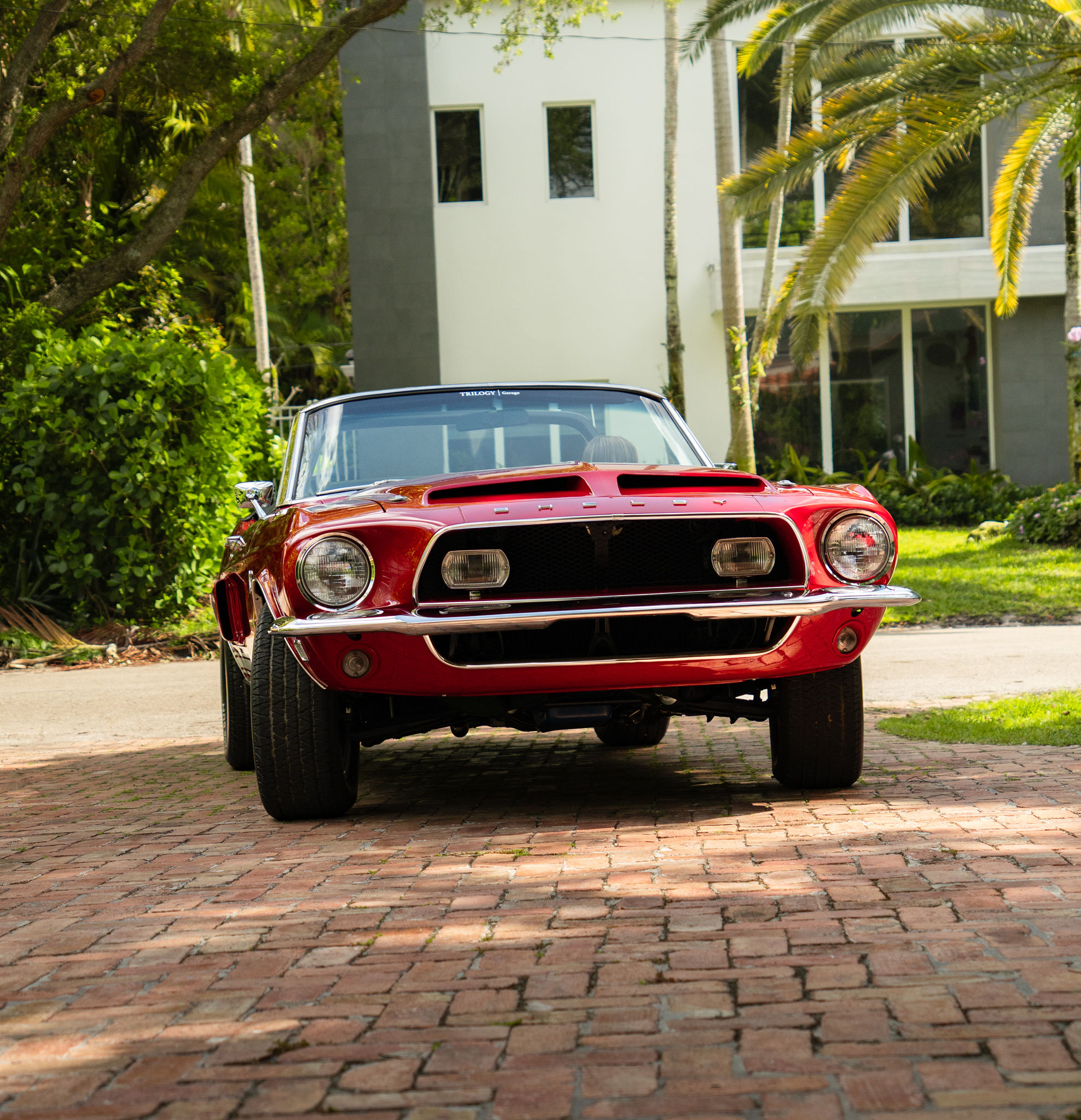 1968 Shelby GT500KR Exterior 4
