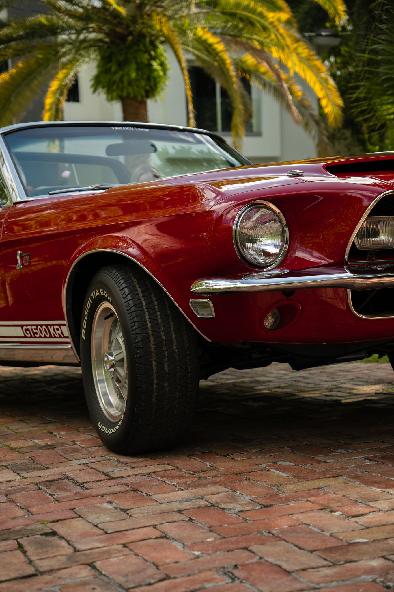 1968 Shelby GT500KR Exterior 5