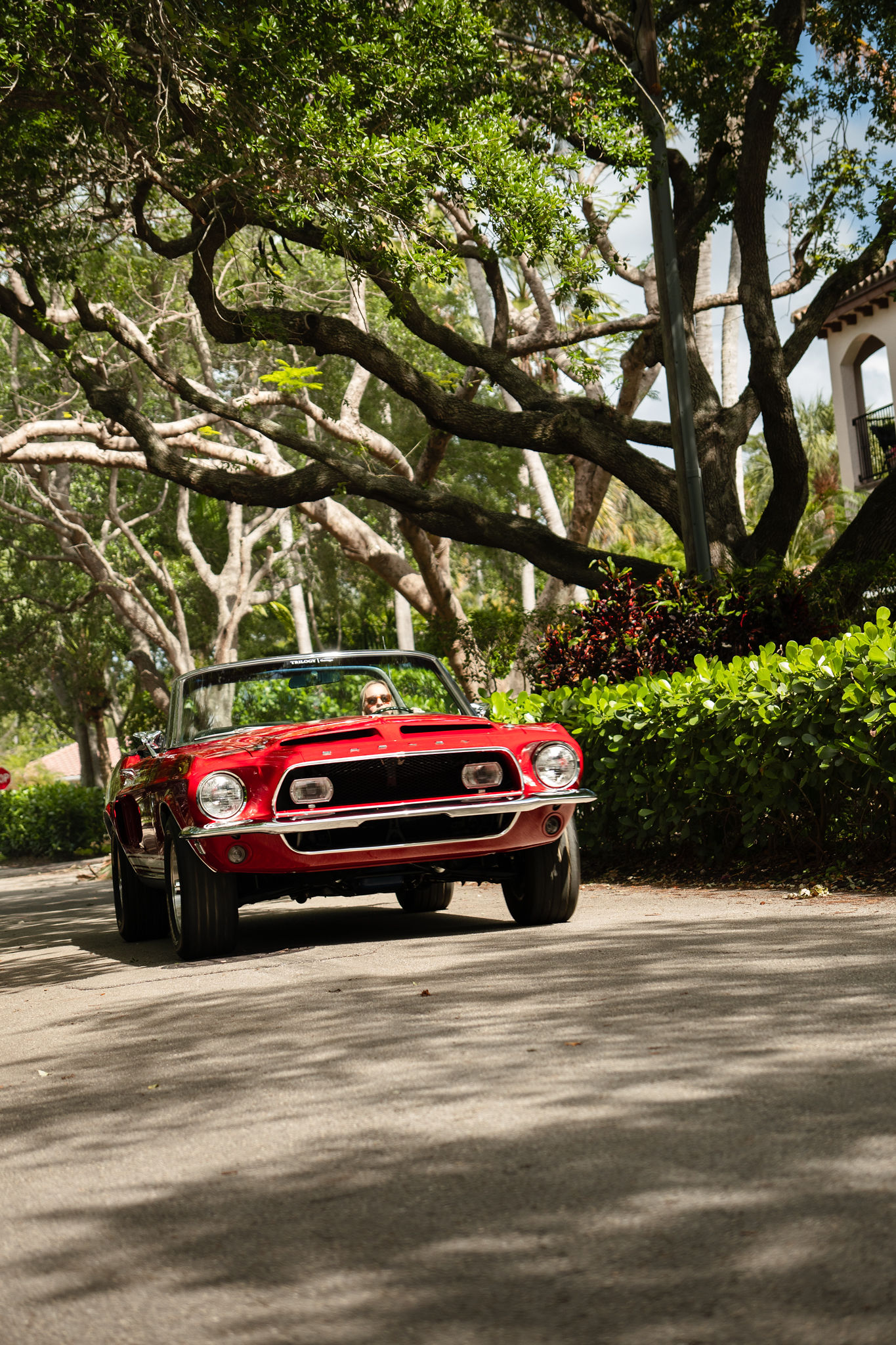 1968 Shelby GT500KR Exterior 8