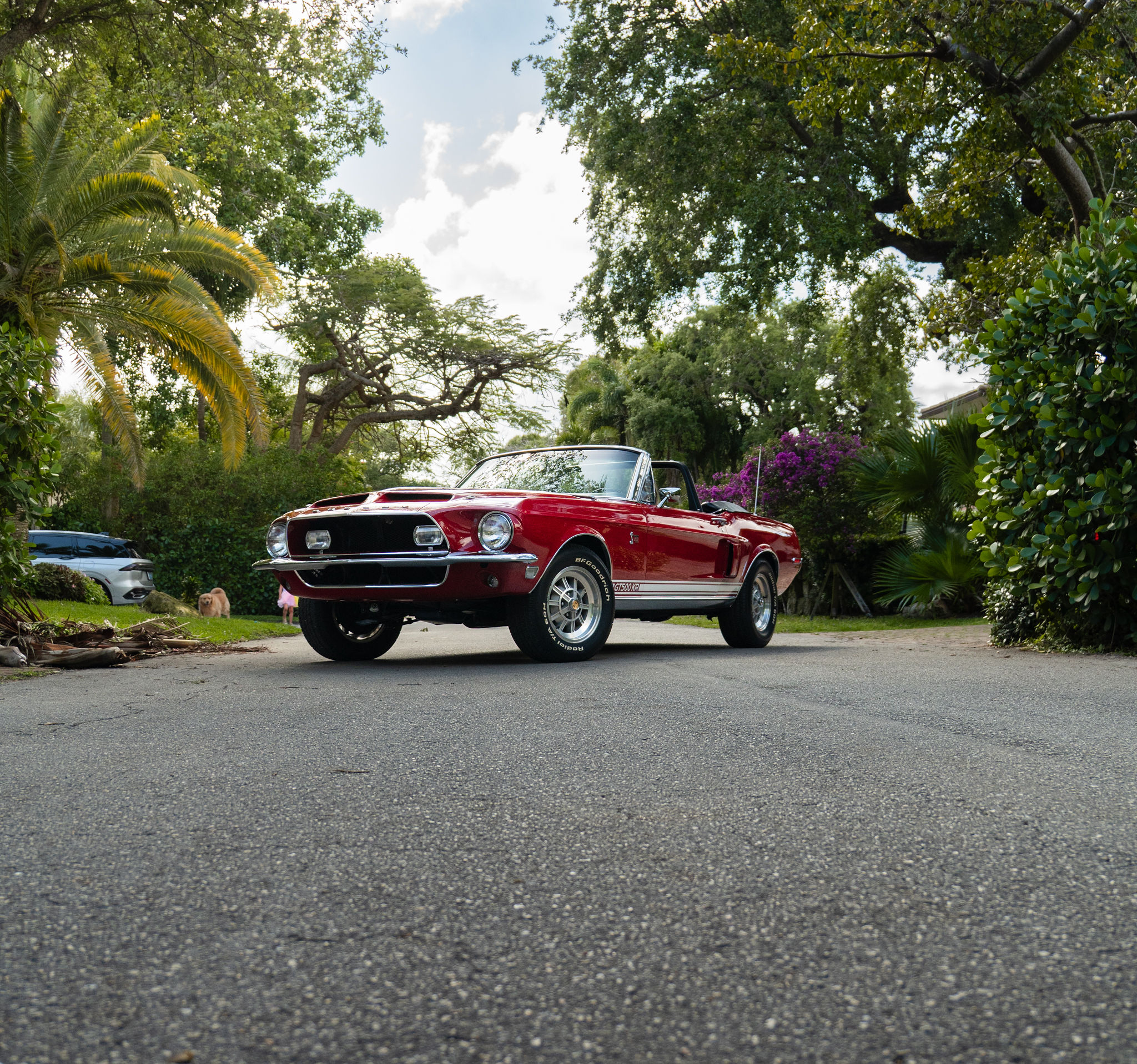 1968 Shelby GT500KR Exterior 17