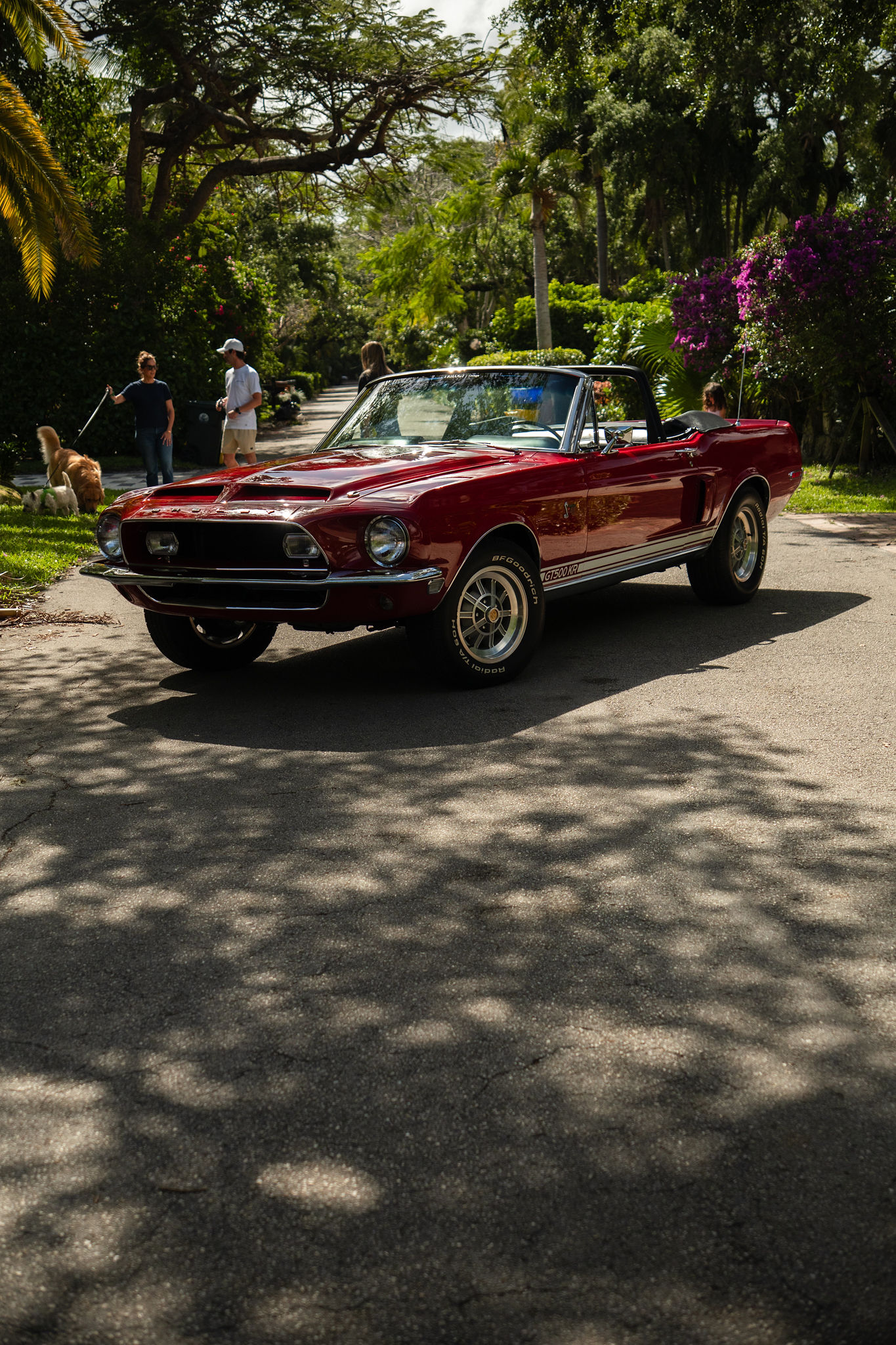 1968 Shelby GT500KR Exterior 22