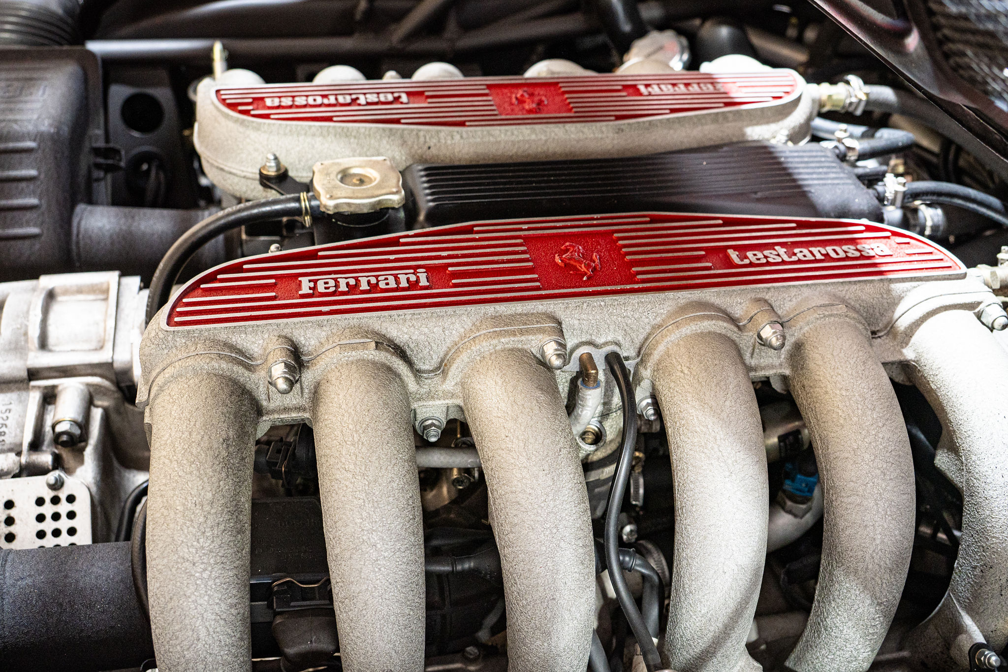 1994 Ferrari 512 TR Exterior 102