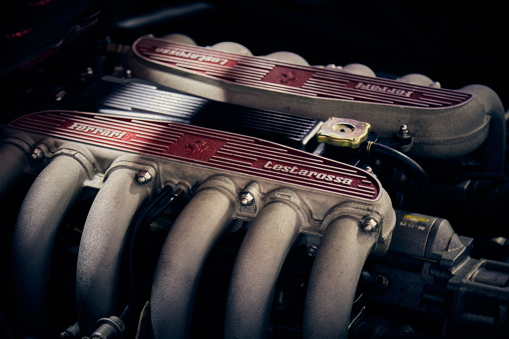 1996 Ferrari F512 M Exterior 4