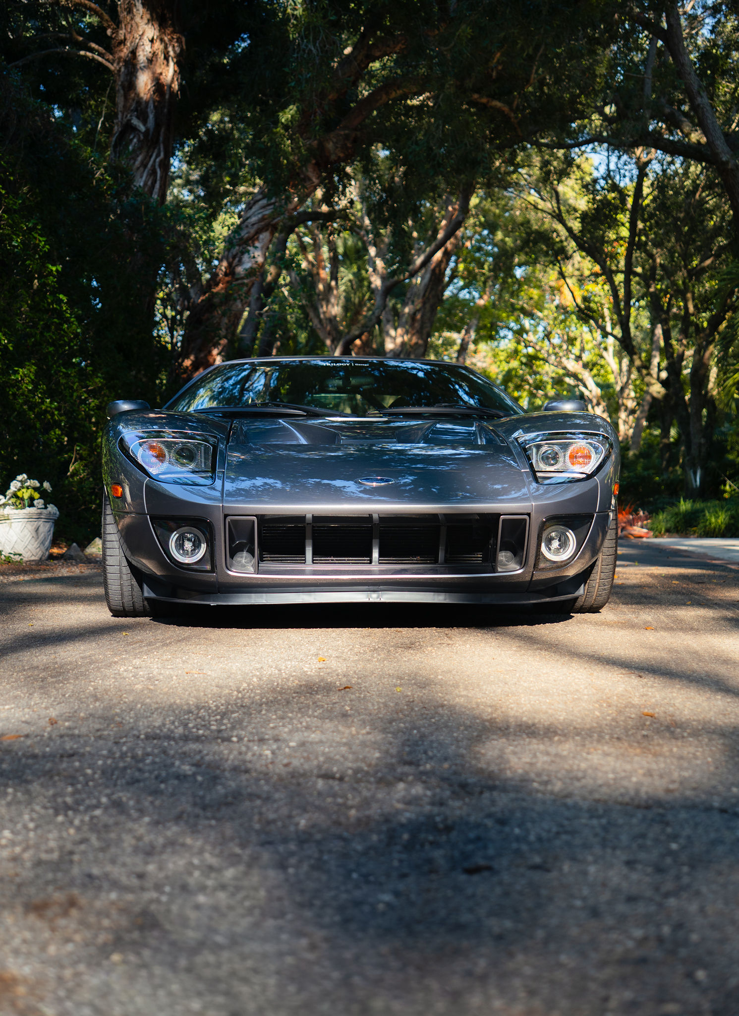 2006 Ford GT Exterior 39